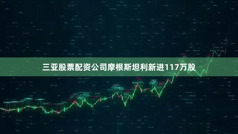 三亚股票配资公司摩根斯坦利新进117万股